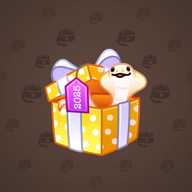 Snake Box